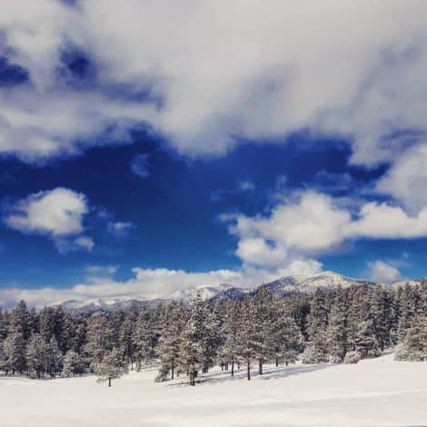 Taos Snowshoeing Day Tour