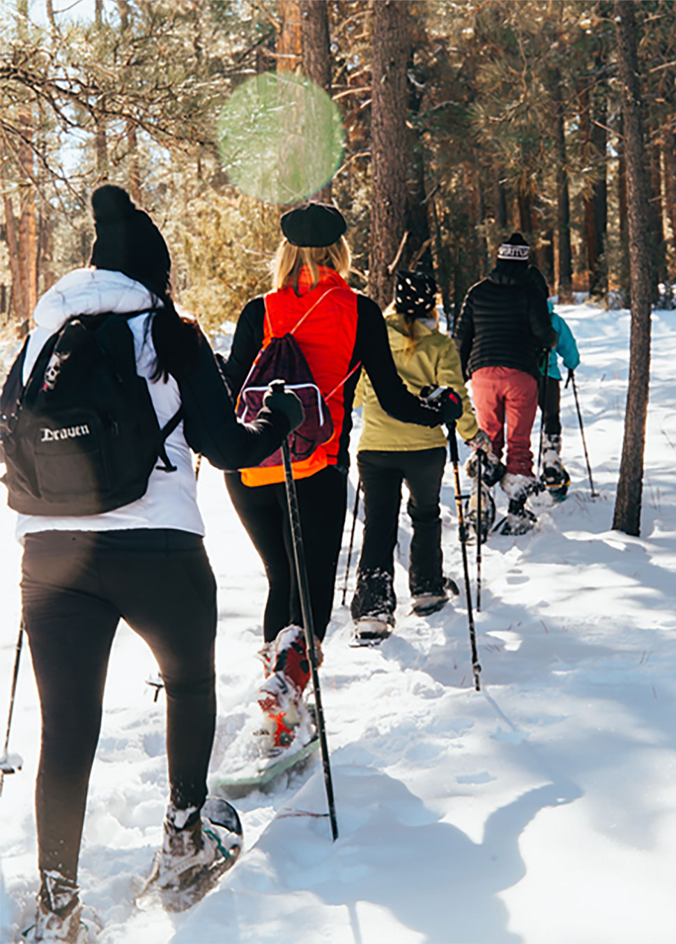 Taos Snowshoeing Day Tour