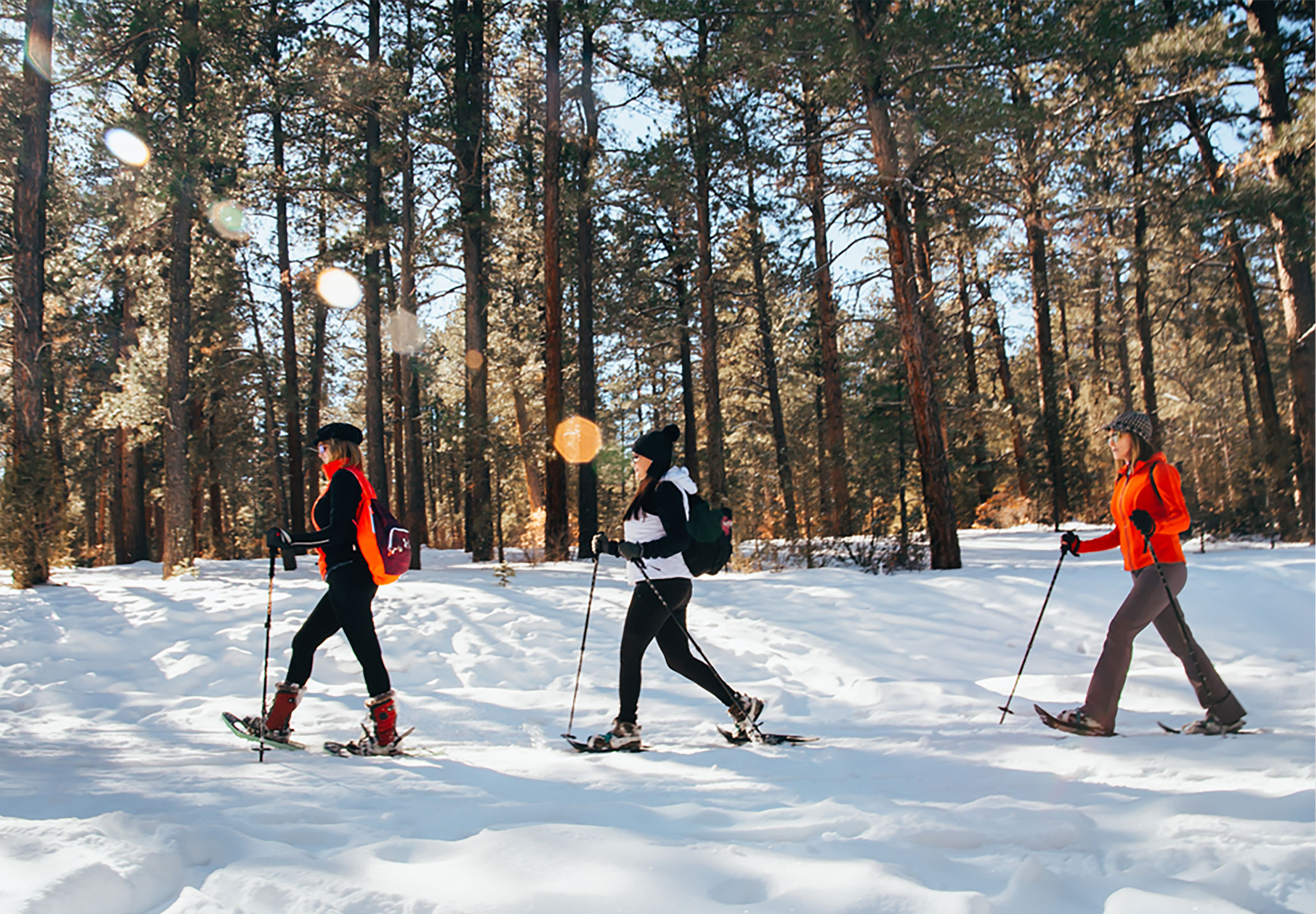 Taos Snowshoeing Day Tour