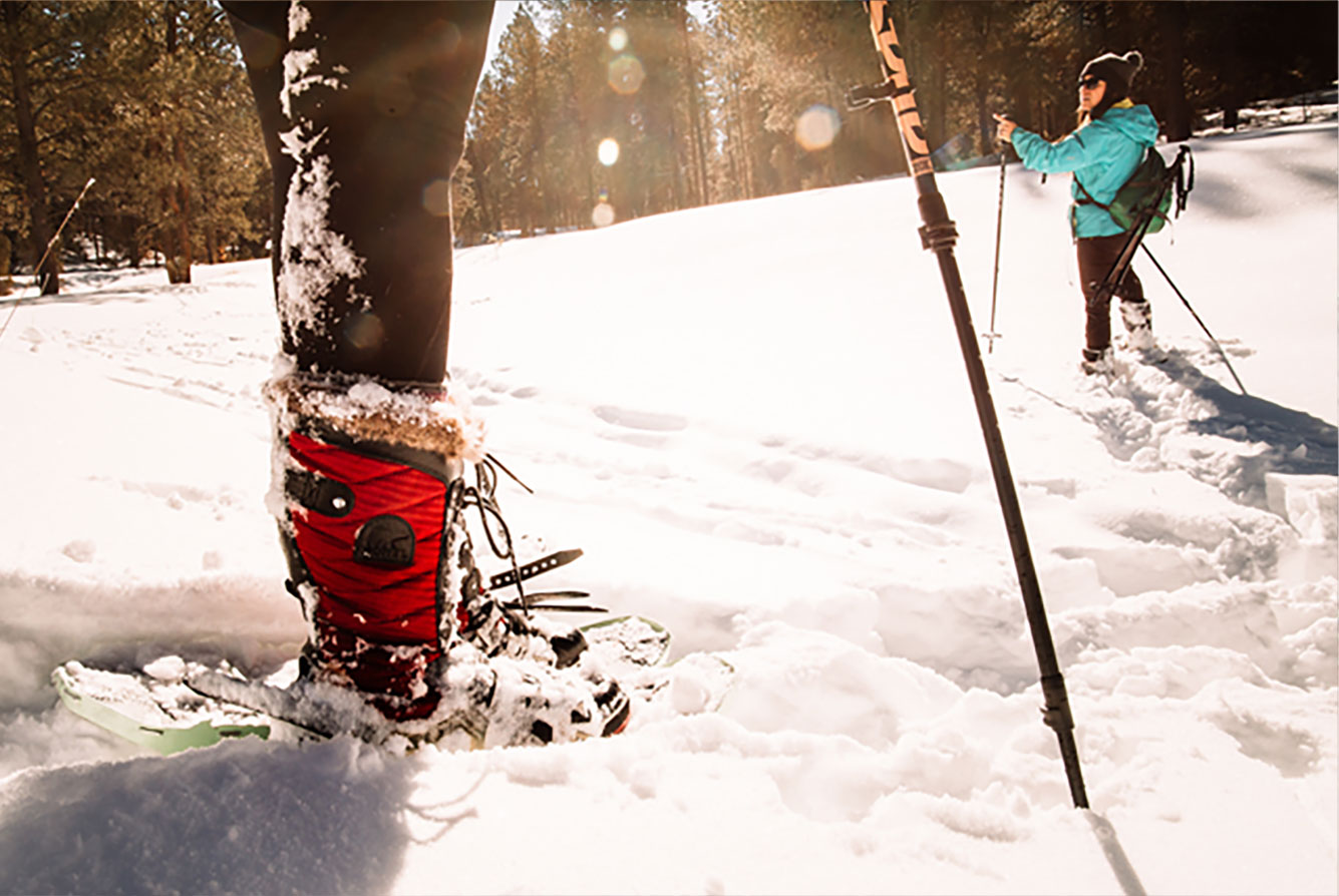 Taos Snowshoeing Day Tour