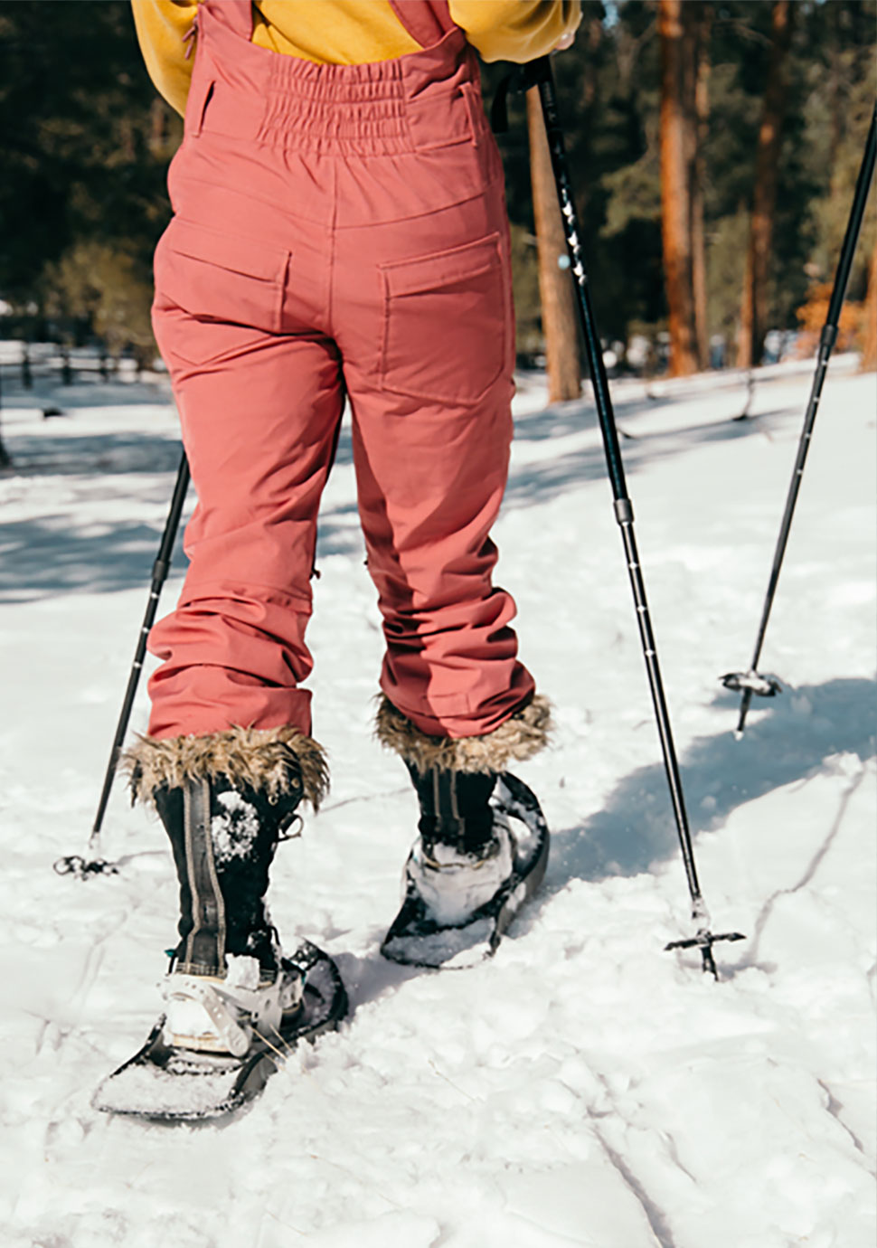 Taos Snowshoeing Day Tour