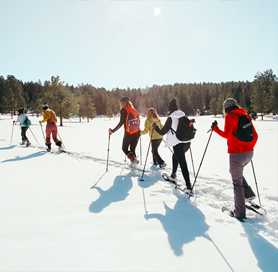 Taos Snowshoeing Day Tour