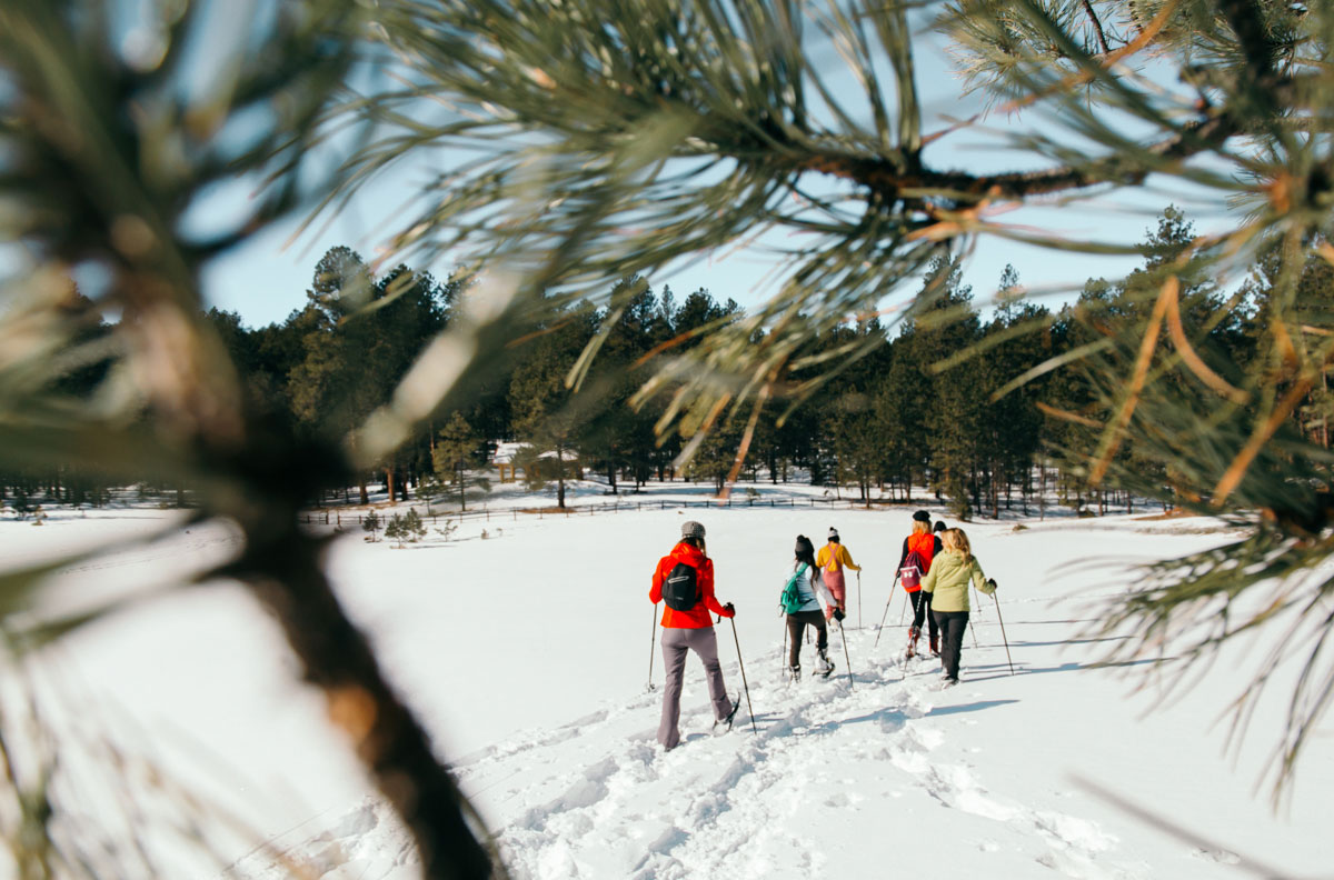 Taos Snowshoeing Day Tour